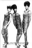 vandellas.jpg (4582 bytes)